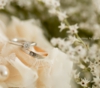 bridal_010.jpg